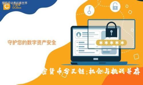 深度解析加密货币分叉链：机会与挑战并存