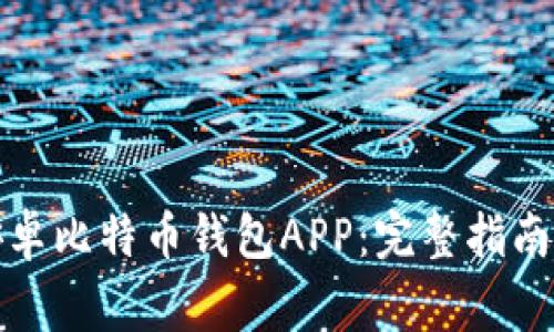 如何下载正版安卓比特币钱包APP：完整指南与安全注意事项