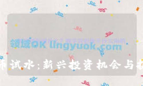 加密货币试水：新兴投资机会与挑战分析