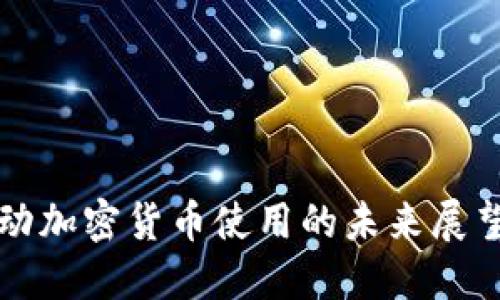 美国推动加密货币使用的未来展望与挑战