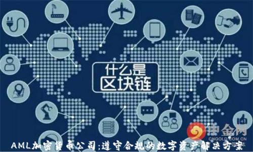 
AML加密货币公司：遵守合规的数字资产解决方案