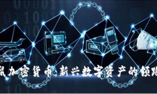 仓鼠加密货币：新兴数字资产的领跑者