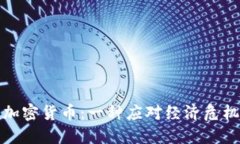 委内瑞拉的加密货币：一种应对经济危机的创新