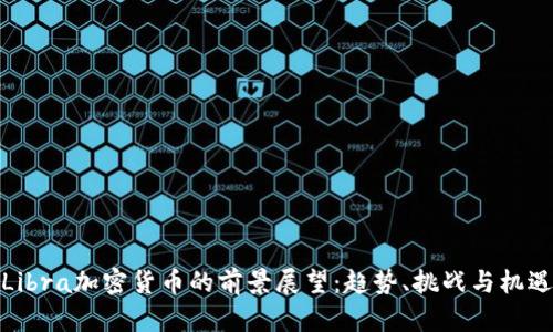Libra加密货币的前景展望：趋势、挑战与机遇