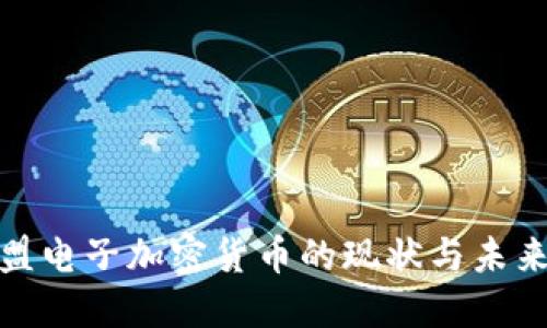 : 欧盟电子加密货币的现状与未来发展