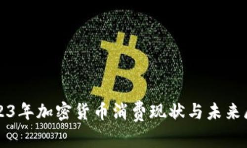 2023年加密货币消费现状与未来展望