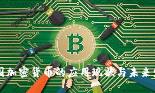 美国加密货币的应用现状与未来发展