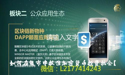 如何在熊市中抓住加密货币投资机会？