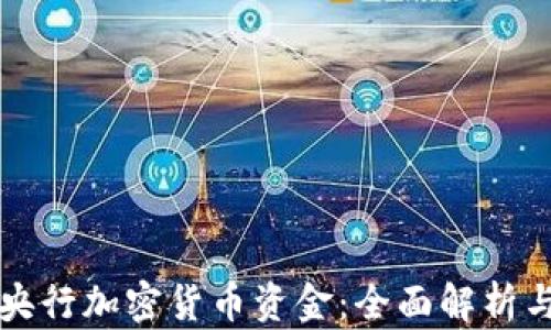 
如何获得央行加密货币资金：全面解析与实用指南