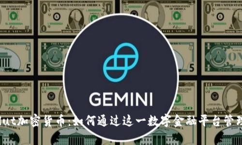 全面解析Revolut加密货币：如何通过这一数字金融平台管理您的虚拟资产