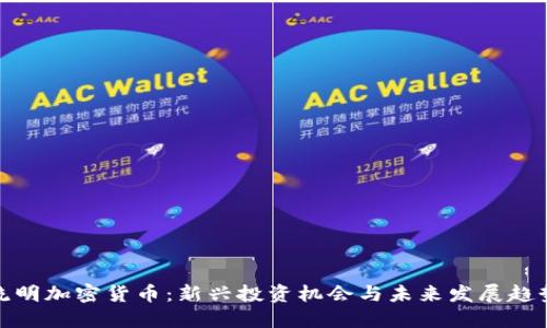 流明加密货币：新兴投资机会与未来发展趋势