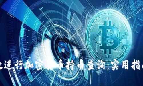 如何高效进行加密货币持币查询：实用指南与技巧