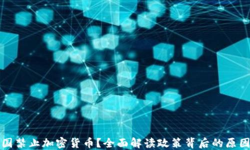 
为何我国禁止加密货币？全面解读政策背后的原因与影响