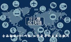 全面解析OMG网络：加密货币的未来与挑战
