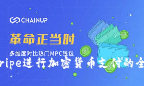 使用Stripe进行加密货币支付的全面指南