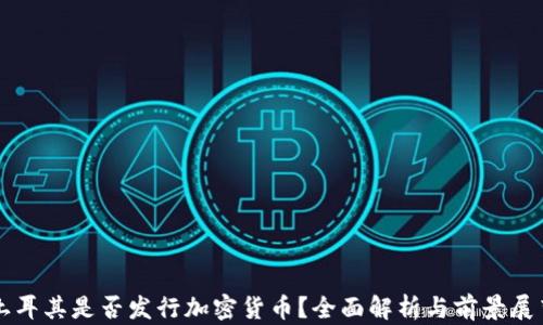 
土耳其是否发行加密货币？全面解析与前景展望