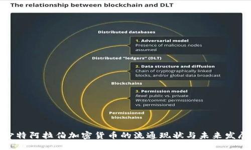 沙特阿拉伯加密货币的流通现状与未来发展