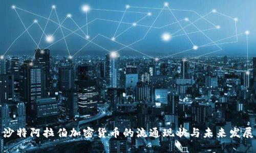沙特阿拉伯加密货币的流通现状与未来发展