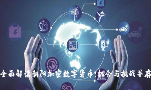 全面解读朝阳加密数字货币：机会与挑战并存