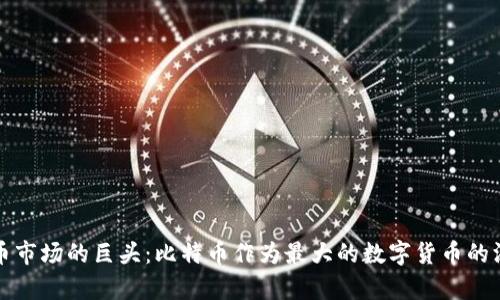 加密货币市场的巨头：比特币作为最大的数字货币的深度解析
