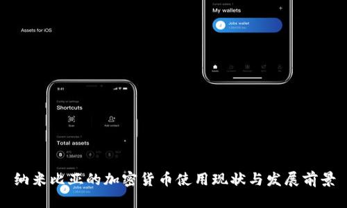 纳米比亚的加密货币使用现状与发展前景