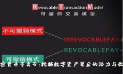 加密货币等离子：挖掘数字资产背后的潜力与收