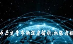 加密货币历史牛市的深度解析：机遇与挑战并存