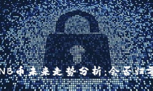 BNB币未来走势分析：会否归零？