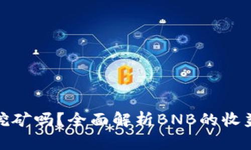 BNB币能挖矿吗？全面解析BNB的收益获取方式