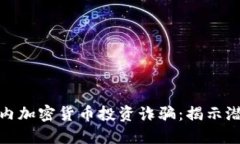 如何识别和防范国内加密货币投资诈骗：揭示潜