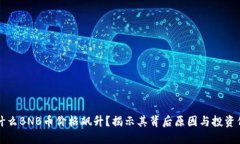 为什么BNB币价格飙升？揭示其背后原因与投资价