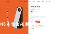 BNB币销毁周期解析：何时进行？