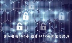 深入解析BNB币：投资SATX的价值与潜力