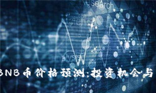 2025年BNB币价格预测：投资机会与风险分析