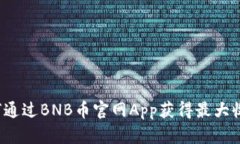如何通过BNB币官网App获得最大收益？