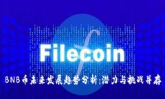 BNB币未来发展趋势分析：潜力与挑战并存