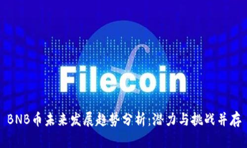 BNB币未来发展趋势分析：潜力与挑战并存