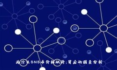 为什么BNB币价格飙升：背后的因素分析