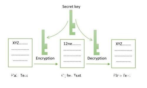 BNB币兑美元最新消息：市场动态与投资指南