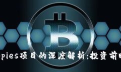 BNB币与Puppies项目的深度解析：投资前瞻与市场分