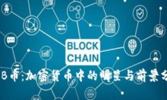 BNB币：加密货币中的明星与前景分析