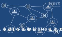 BNB币的TPS是多少？全面解析BNB生态及其高性能指