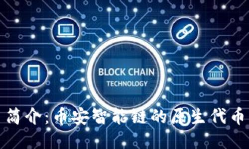 BNB币简介：币安智能链的原生代币及应用