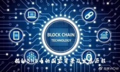揭秘BNB币的国家背景及发展历程