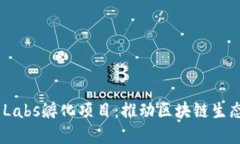 探索Binance Labs孵化项目：推动区块链生态的创新