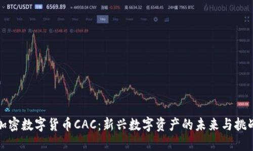 加密数字货币CAC：新兴数字资产的未来与挑战
