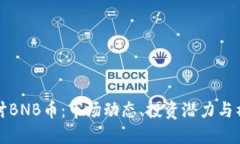 深入探讨BNB币：市场动态、投资潜力与社区支持