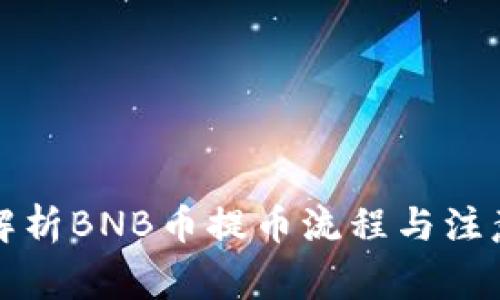全面解析BNB币提币流程与注意事项