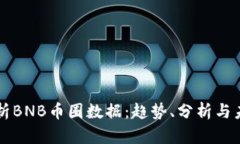 全面解析BNB币圈数据：趋势、分析与未来展望