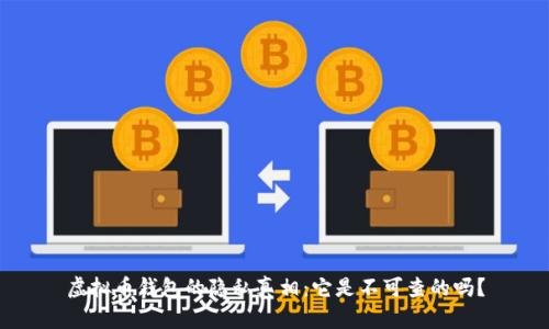 虚拟币钱包的隐私真相：它是不可查的吗？